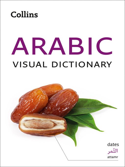 Couverture de Arabic Visual Dictionary